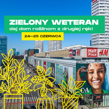 ZIELONY WETERAN powraca!